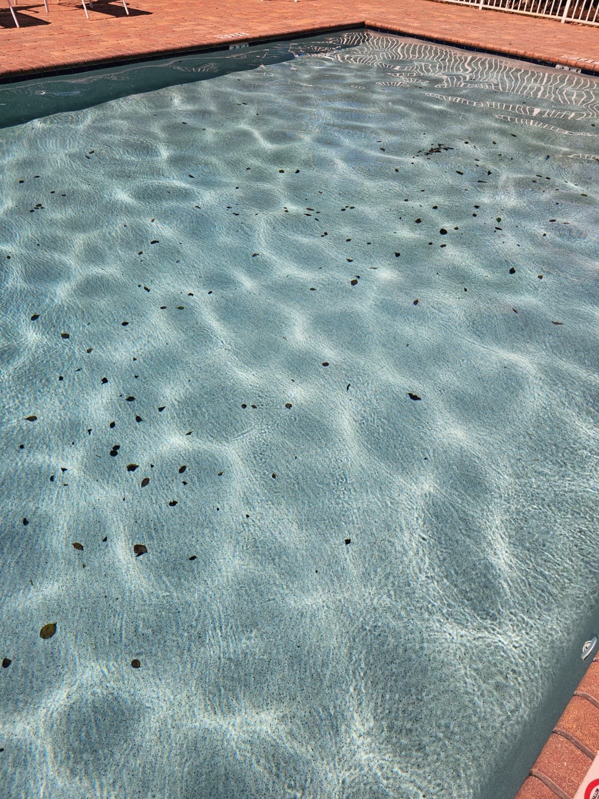 Pool covered in leaves and debris before Labounty Pools maintenance